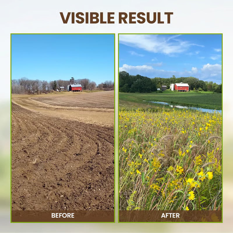 Soil Activated Treasure Premium