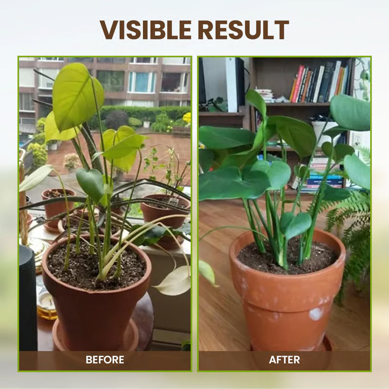 Soil Activated Treasure Premium