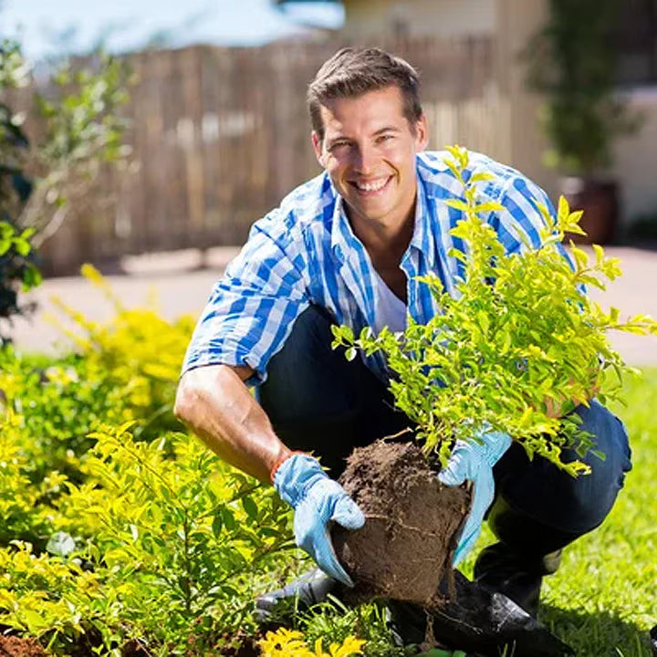 Soil Activated Treasure Premium